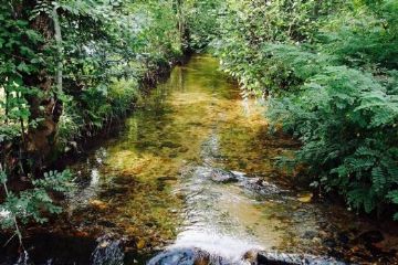 Corso d'Acqua (foto di Vittorio Vallero)