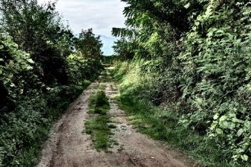 Strada di campagna (foto di Vittorio Vallero)